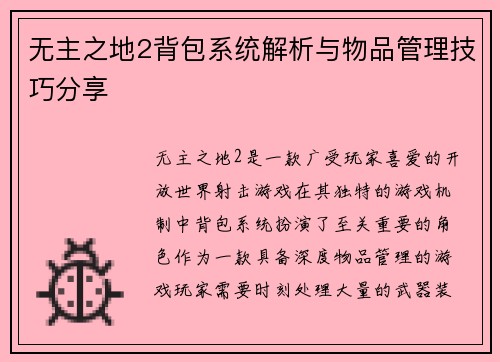 无主之地2背包系统解析与物品管理技巧分享